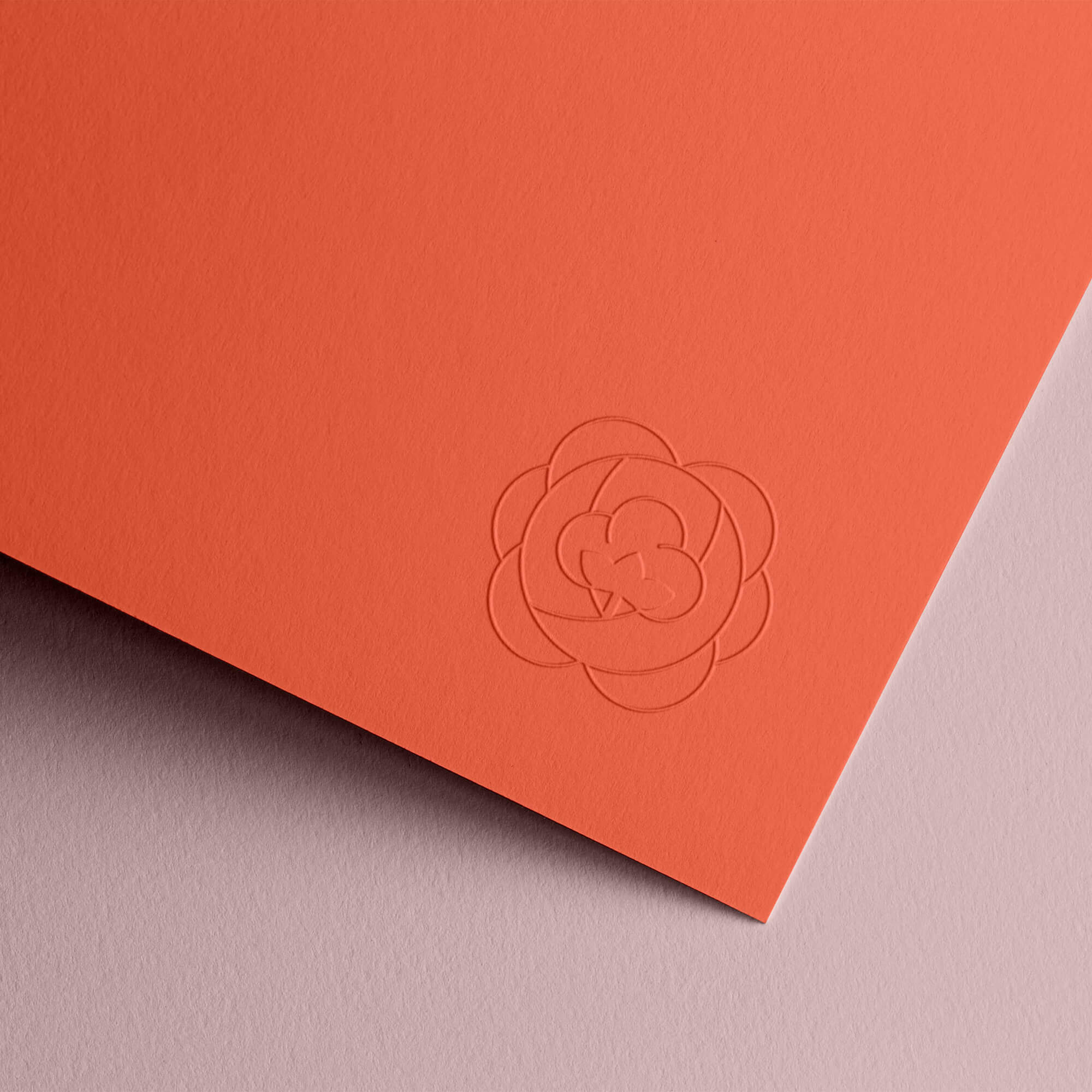 De rose et de coton